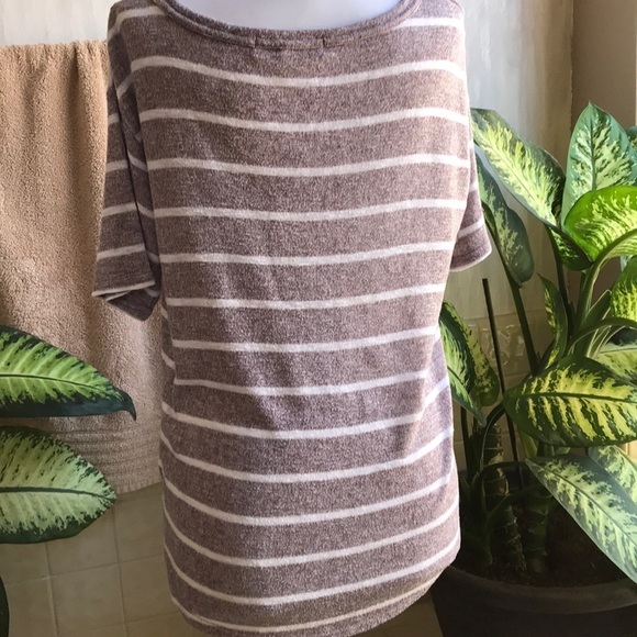 Tan and cream striped top - Picture 4 of 4